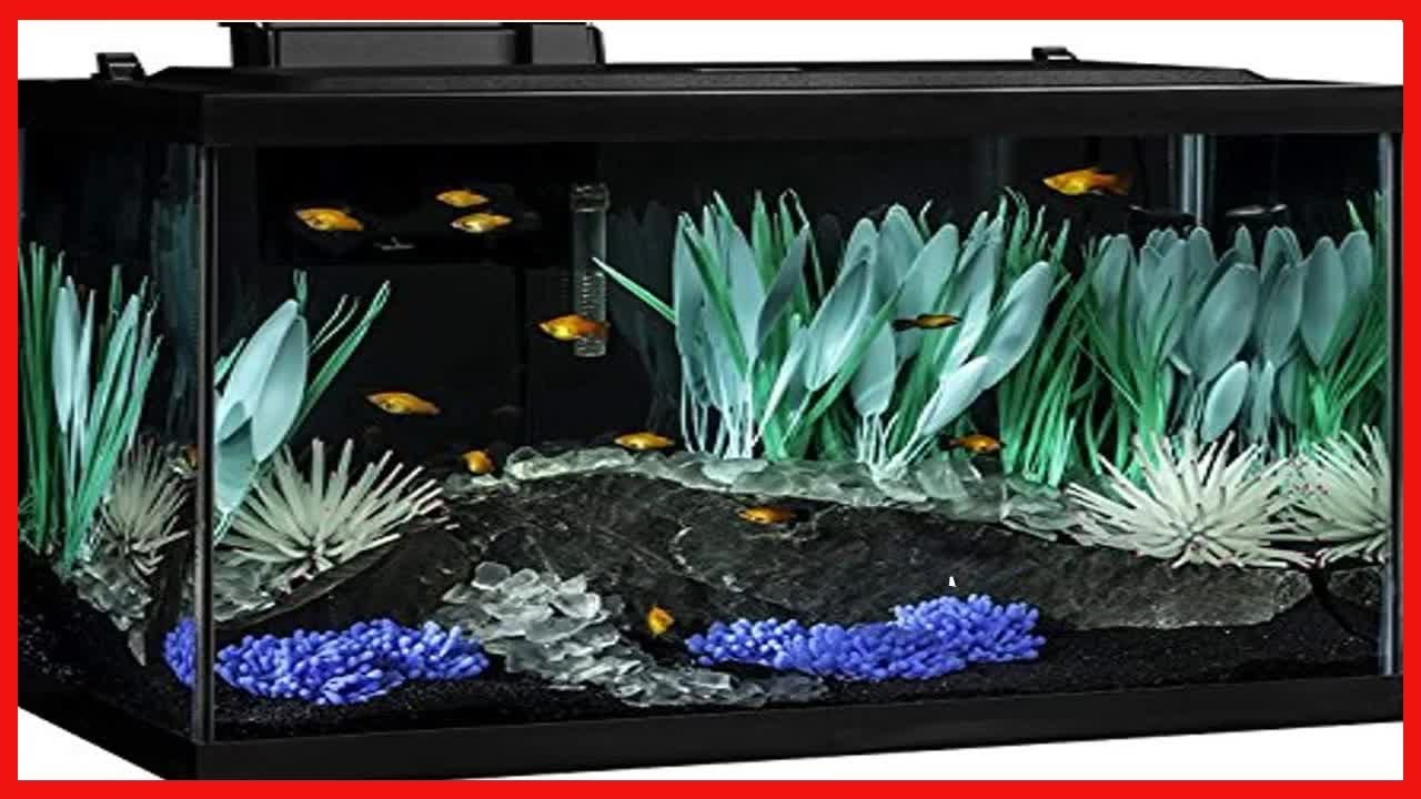Tetra ColorFusion Aquarium 20 Gallon Fish Tank Kit, Includes LED