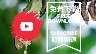 Audio Library 音樂庫 | herbal tea - Artificial.Music | [Copyright Free Music] 免費背景音樂下載 無版權配樂