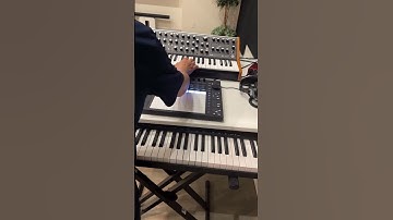 Moog Subsequent 37 and Push 3 combo - Working on my next song #moog #ableton #deephouse #push3