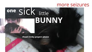 What Binky went through pls help with (binkys way)