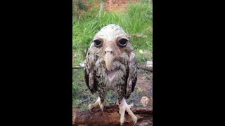 Another silly prank to pull on your friends!