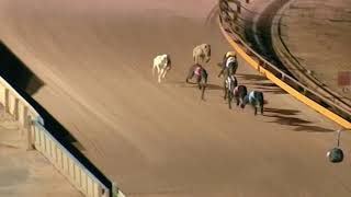 SHP MON 23 NOV 20 R10