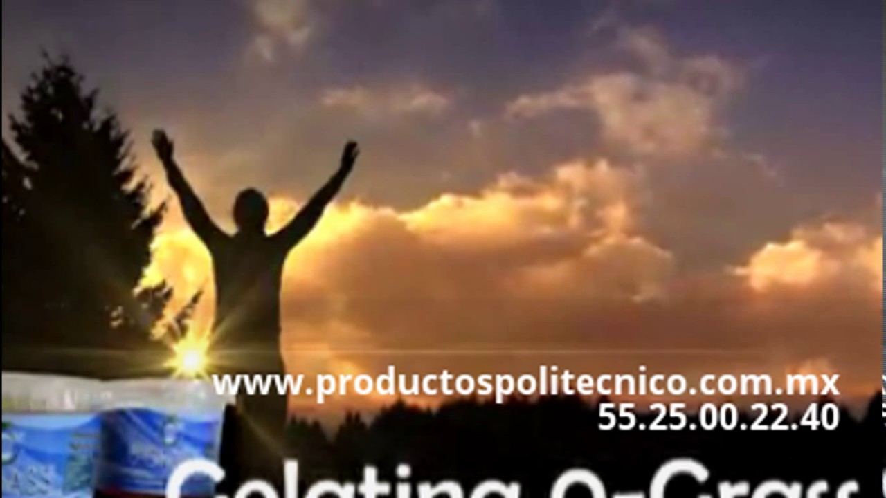 BAJE DE PESO CON GELATINA DEL POLITECNICO *0GRASS* YouTube