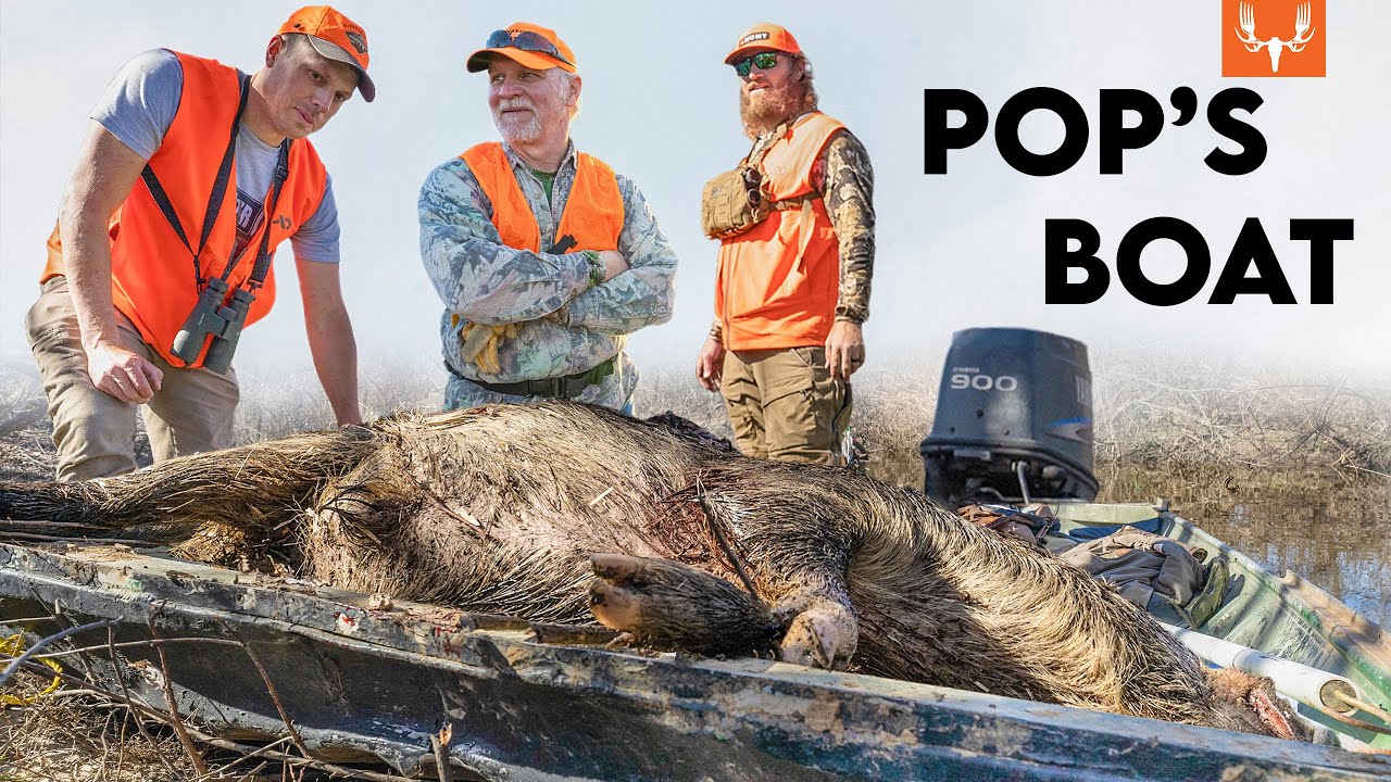 Hunting Wild Pigs | The Element