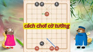 Luật và cách chơi cờ tướng cơ bản #meocotuong #cotuong  screenshot 2