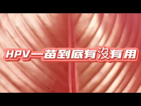D172HPV一苗到底該不該打？