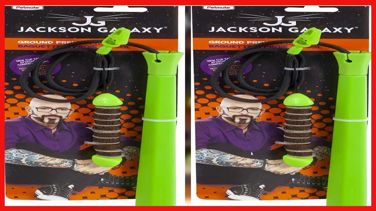 Jackson Galaxy Cat Prey Wand YouTube