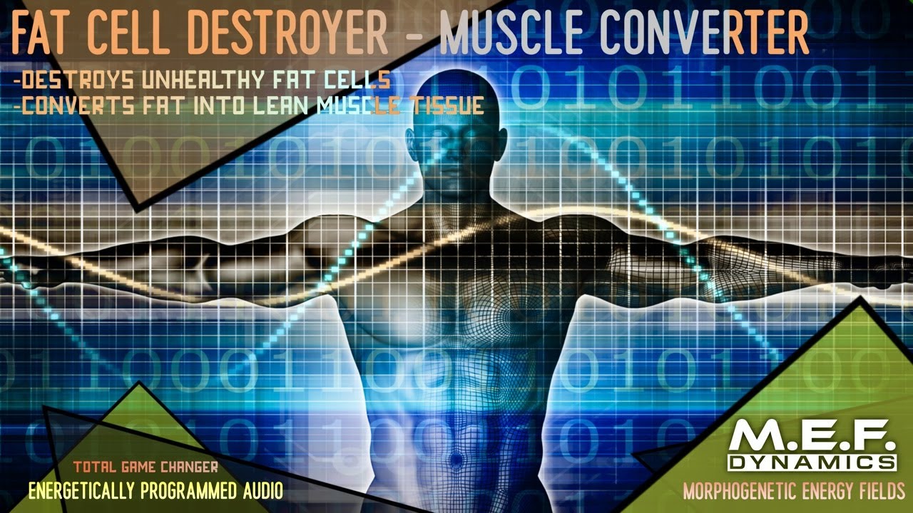 The Fat Cell Destroyer  - Lean Muscle Converter