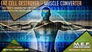 The Fat Cell Destroyer  - Lean Muscle Converter (Advanced Morphic Field) #shorts