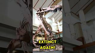 Suchomimus Has Gone Extinct…Again!