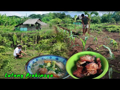Ginulay na Mais at Pork chop | Farm Cooking Corn Soup vegetable and pork chops recipe 