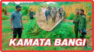 DC MAGOTI AVUKA MTO KWA MIGUU ,AKAMATA BANGI MSITUNI, MKEMIA ATHIBITISHA NI BANGI