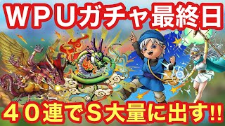 【ドラクエタクト】ＷＰＵガチャ最終日！少年テリー&賢者（女）としんりゅう&創造神マデサゴーラガチャでＳ大量に出します！