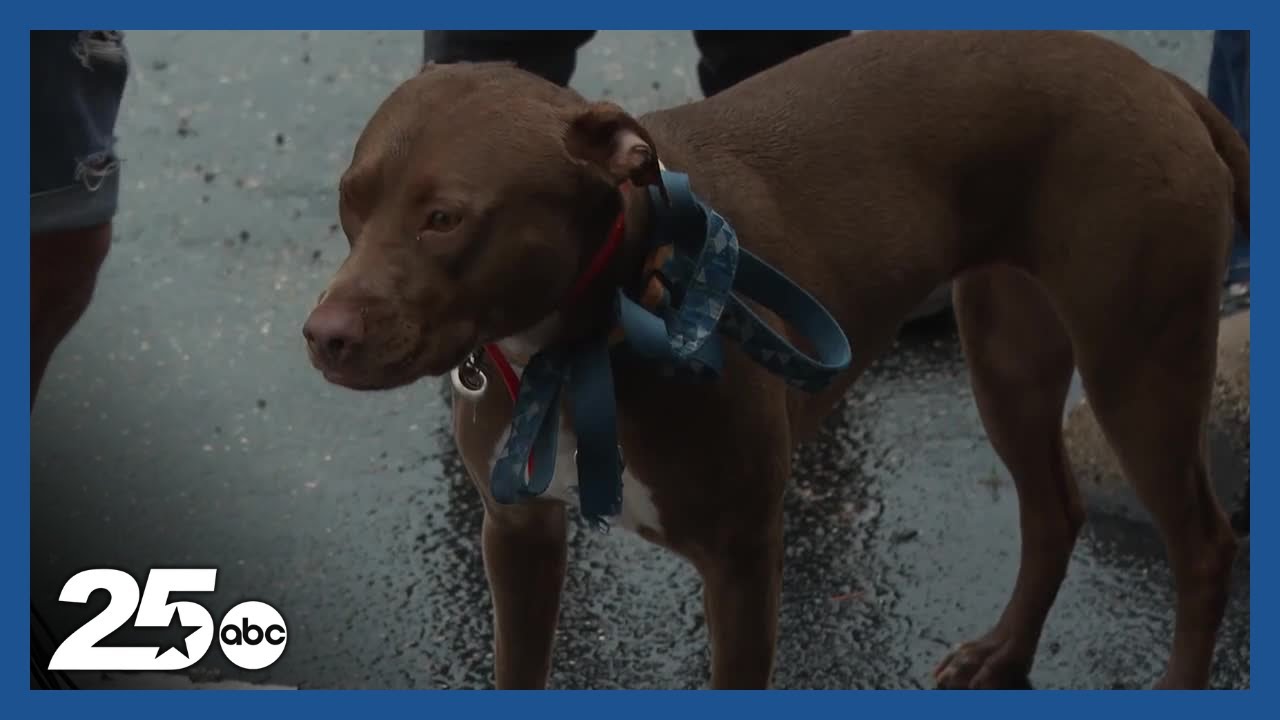 See how the Animal Hospital of Waco is helping pet owners with those