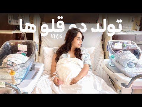 🏥 ۲ نوزاد، ۱ روز فراموش‌نشدنی | ولاگ واقعی تولد دوقلوها