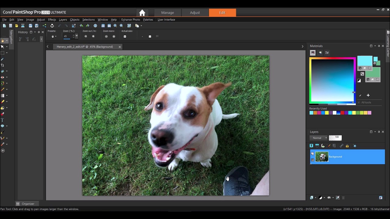 Corel Pro 2019 Removing unwanted Objects from an image