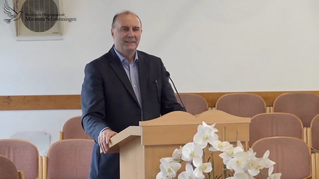 Virgil Neagu - Jugul limitărilor