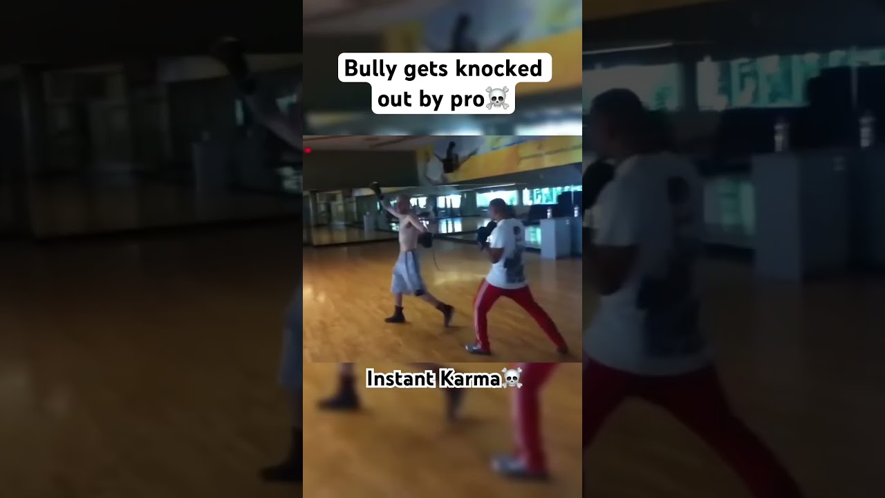 Bully gets knocked out 