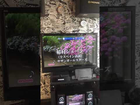 稲村ジェーン　カラオケ