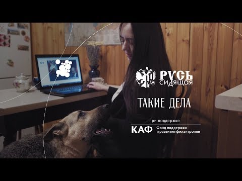 Как работает Школа общественного защитника?