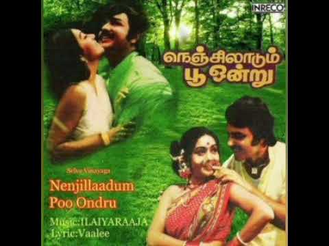 கோடி இன்பம் மேனி எங்கும் - நெஞ்சில் ஆடும் பூ ஒன்று