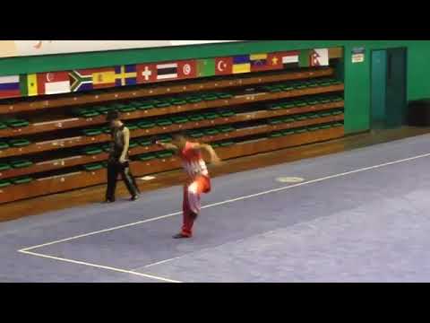 اللاعب محمد عبد الرحمن بطولة العالم الووشو كونج فو الحديث ٢٠١٣ ملاكمة جنوبى اختيارى ٩ ٣٠