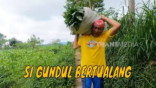 OLAHAN UNIK DARI TULANG IKAN, BAYAM, DAN TALAS | JEJAK SI GUNDUL (22/09/26)