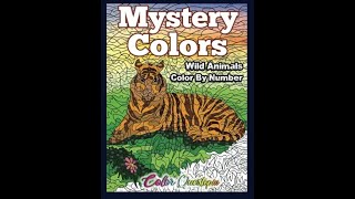 Flip Through Color Questopia Mystery Colors Wild Animal CBN Coloring Book