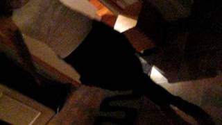 Download Lagu MVI 8246 MP3