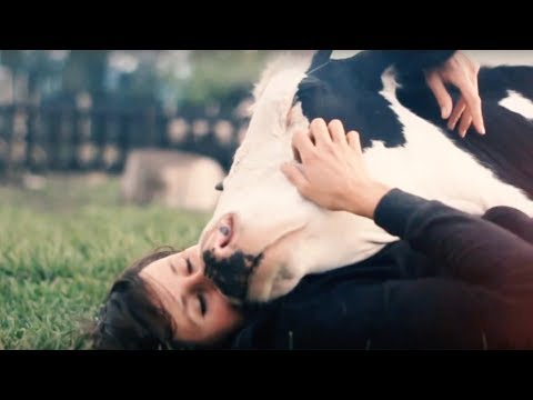 Animal Equality | 2018 Year in Review | A Historic Year for Animals