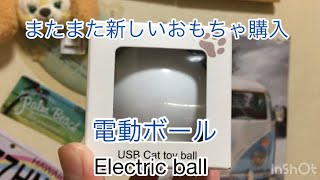『これは凄い‼️』USBで充電する電動ボール(子猫)