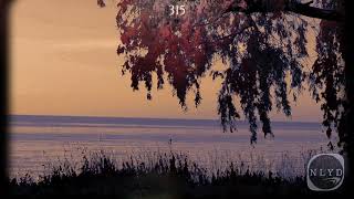 Nalyd - F What They Lookin At Freeverse