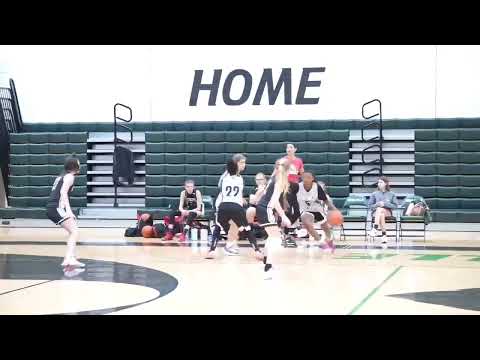 C/O 2028 Nakia McCottrell w/ BallHogg Academy (Edwardsville, IL)
