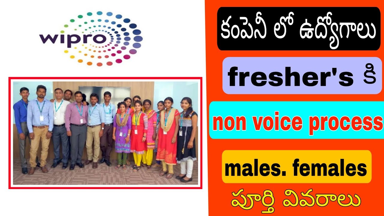 wipro non voice process urgent recruitment for fresher's full information walkin YouTube