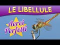 Le libellule aerei perfetti  puntata 26