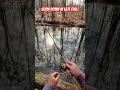 POOR MANS TROUT! #fishing #cold #troutfishing #lockjaw #bassfishing #trout #creek #fishinglife #nj
