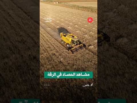 مشاهد جوية خاصة لسوريا الآن لبدء حصاد المحاصيل الزراعية في الرقة
