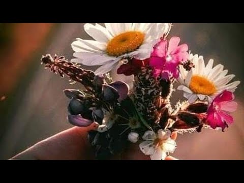 عليك توكلي واعتمادي يارب 