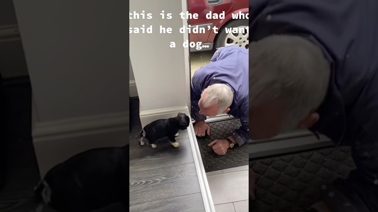 Dads with the dog they “didn’t want “