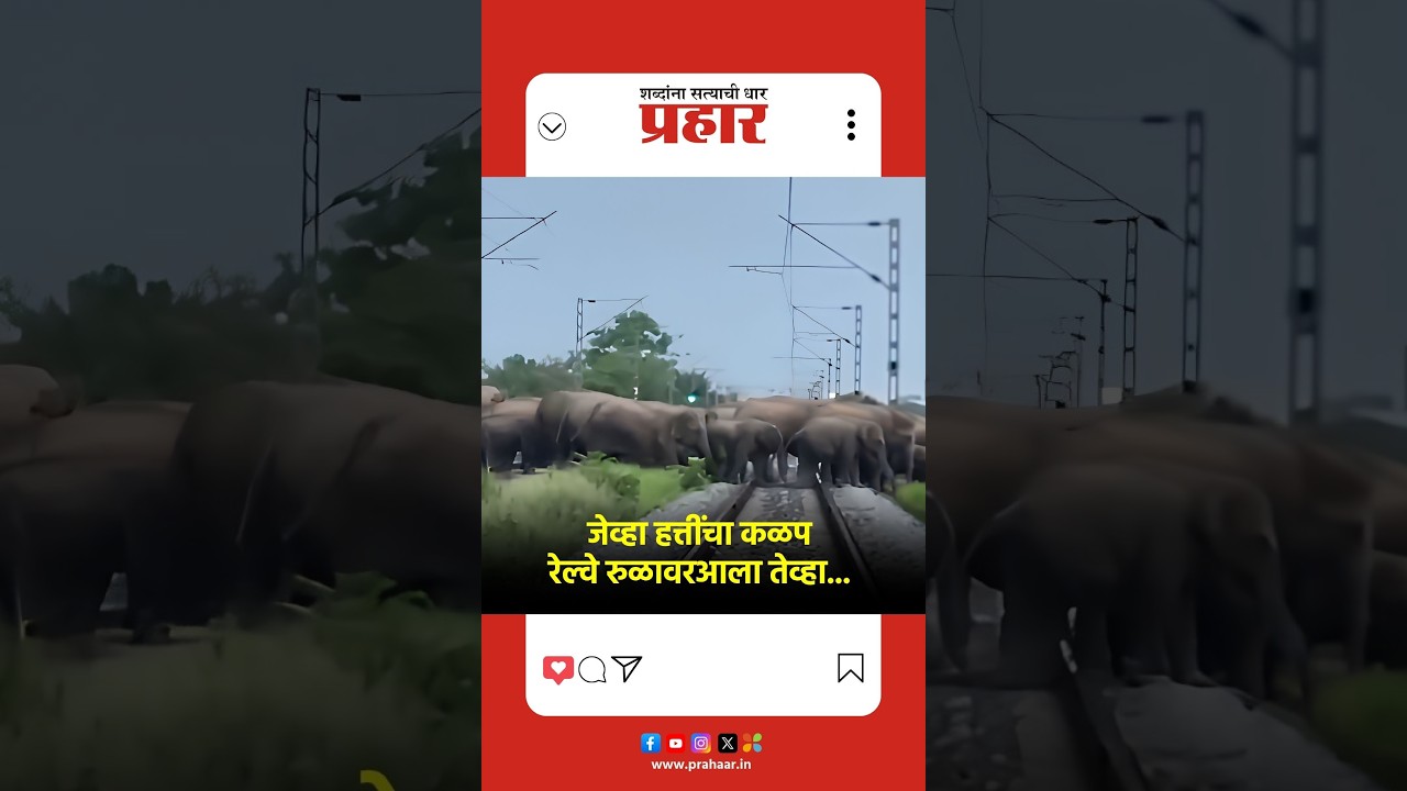 Herd of Elephants | जेव्हा हत्तींचा कळप रेल्वे रुळावरआला तेव्हा...