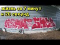 Граффити вылазка - офисные клерки рисуют в выходные