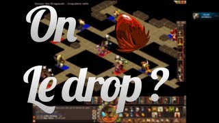 Dofusessayons De Drop Le Dofus Vulbisdonjons Dragoeuf