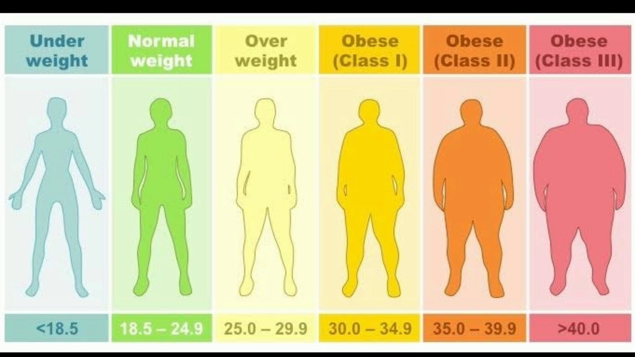 What Is BMI & BMR ?