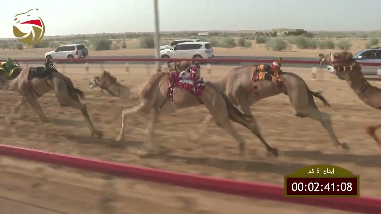 سباق الإيذاع – لهباب 03-03-2026 ش15 الواري لـ سالم راشد بالضبيعه الكتبي  7:42