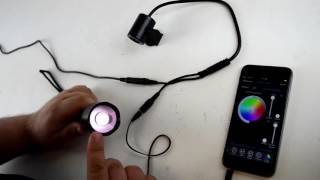 Gantom Torch Demo