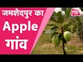 Jamshedpur का ये Apple गांव नहीं देखा तो क्या देखा | Bihar Tak