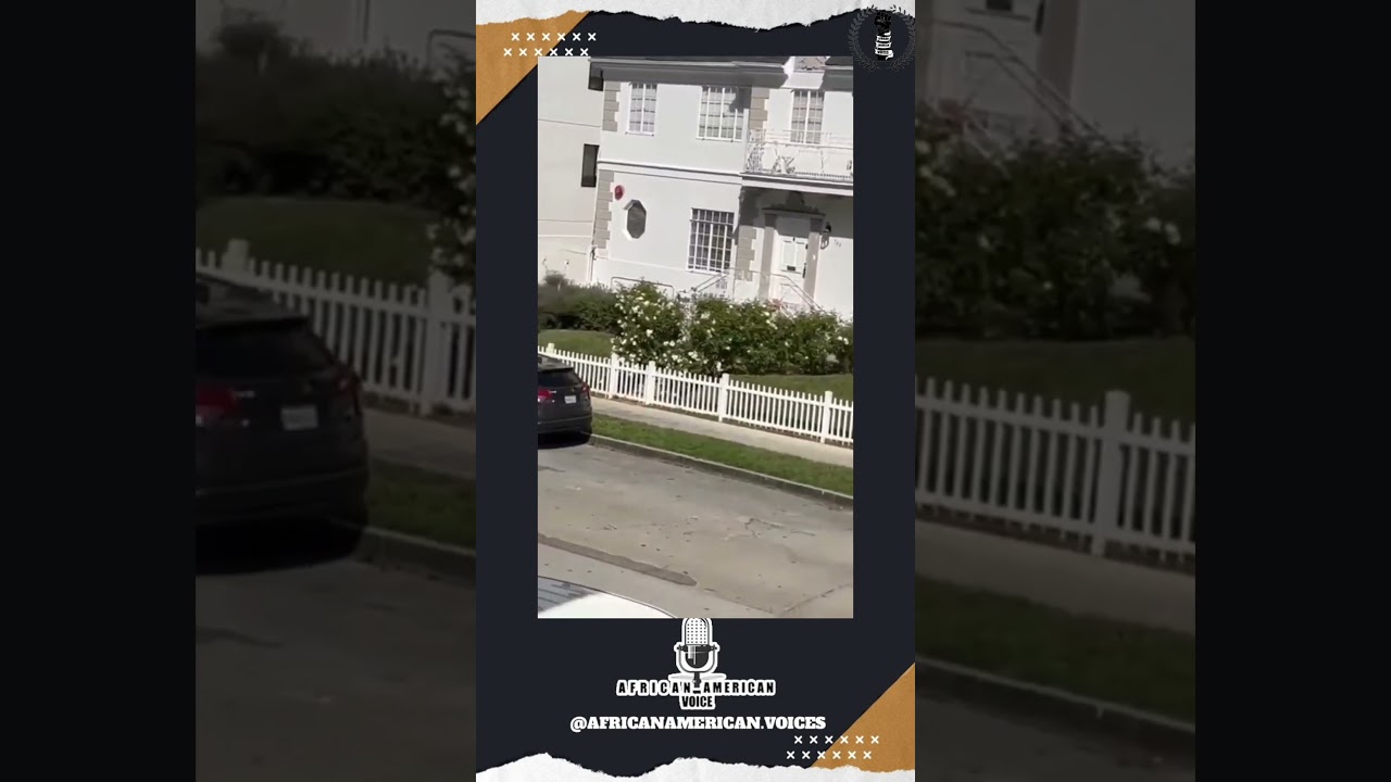 Black man with a gun hailed hero after saving an elderly Asian man from another Black carjacker-LA