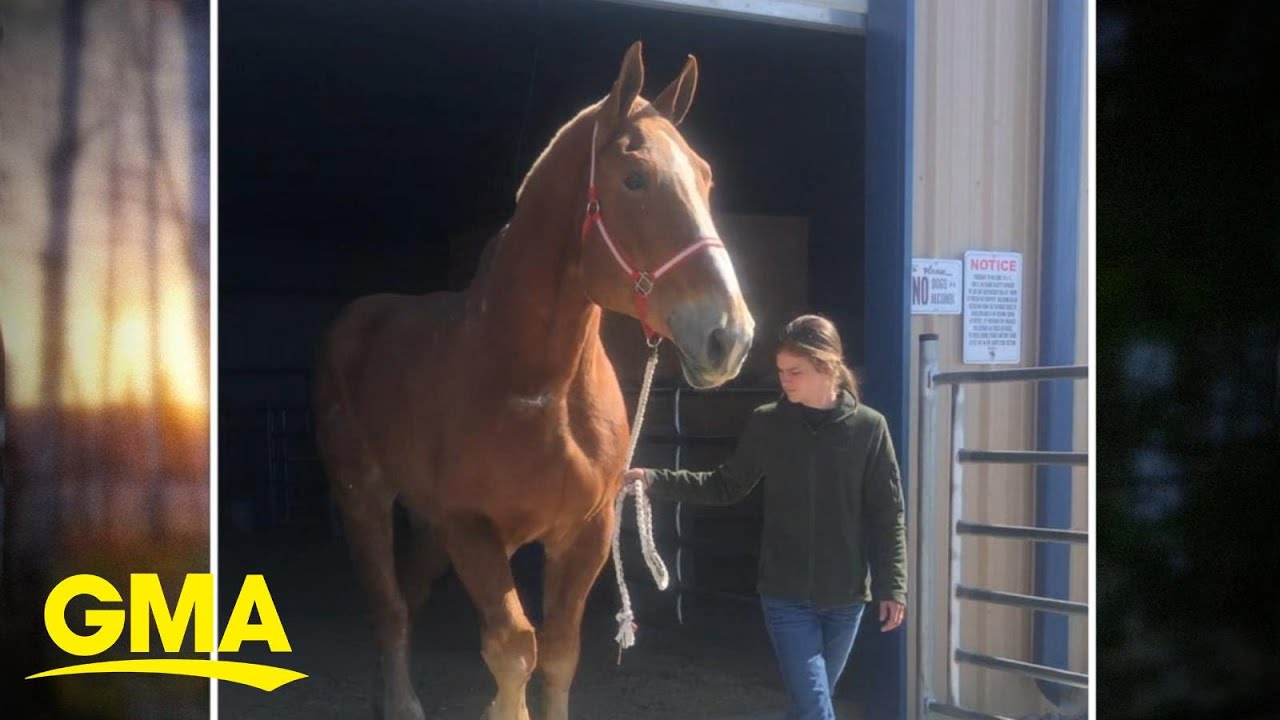 Colby’s crew rescue YouTube