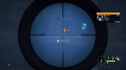 378 meter running blind shot