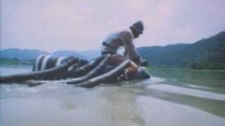 Ninja: The Final Duel   The Water Spider Assault Unit
